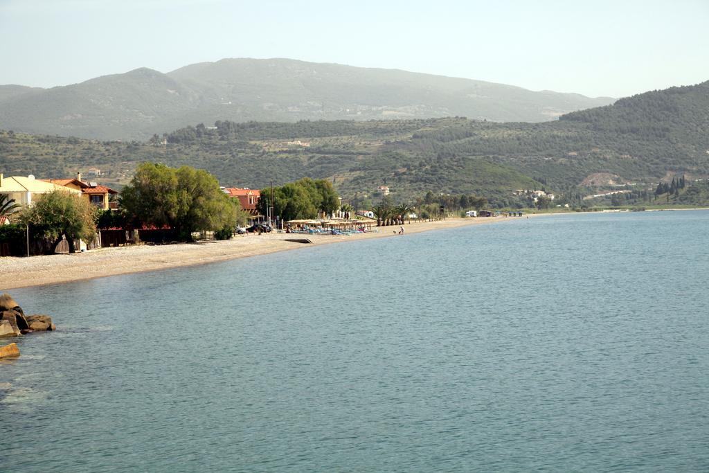 Cavos Fokidos Aparthotel Chiliadou  Luaran gambar